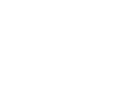 Platinum Paints